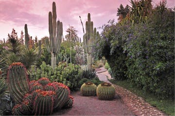 Gärten und Oasen von Marrakesch