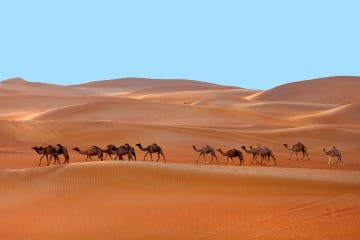 4-day desert tour from Marrakesh to the Erg Chegaga