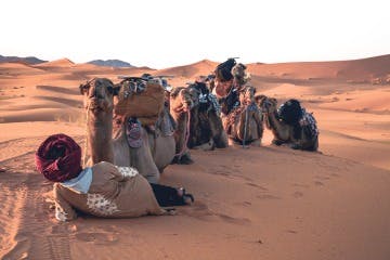 5 Days Sahara Desert Tour from Fes to Marrakech